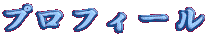 �v���t�B�[��